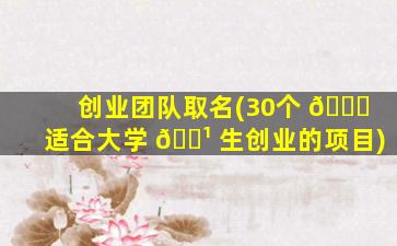 创业团队取名(30个 🐟 适合大学 🌹 生创业的项目)